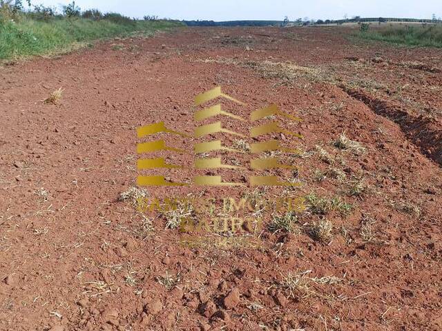 #448 - Fazenda para Venda em Bauru - SP - 3
