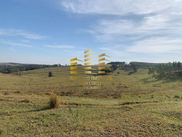 #449 - Fazenda para Venda em Bauru - SP - 2