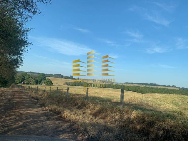 #449 - Fazenda para Venda em Bauru - SP - 3