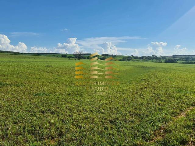 #450 - Fazenda para Venda em Bauru - SP - 2