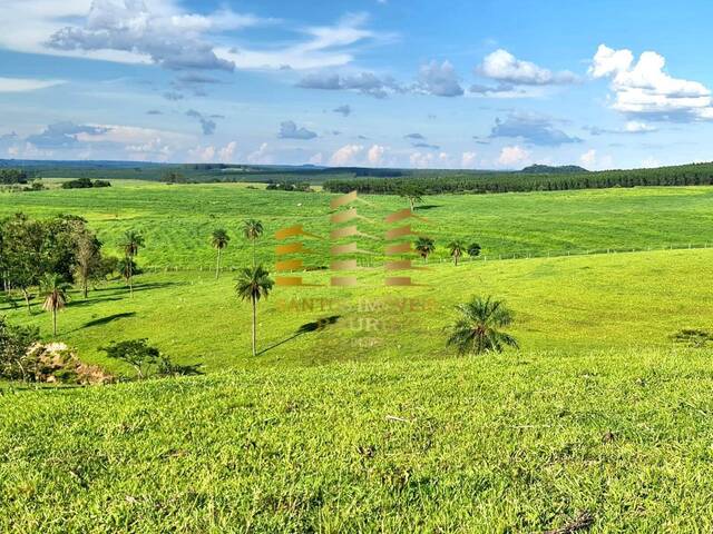 #450 - Fazenda para Venda em Bauru - SP - 3