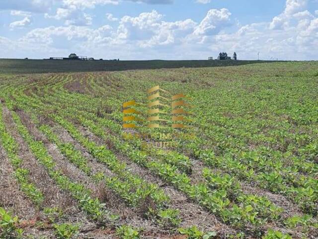 #451 - Fazenda para Venda em Bauru - SP - 2