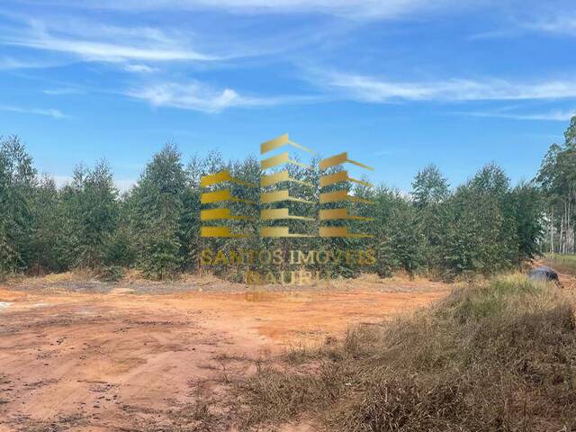 #453 - Fazenda para Venda em Bauru - SP - 2