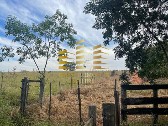#453 - Fazenda para Venda em Bauru - SP - 3