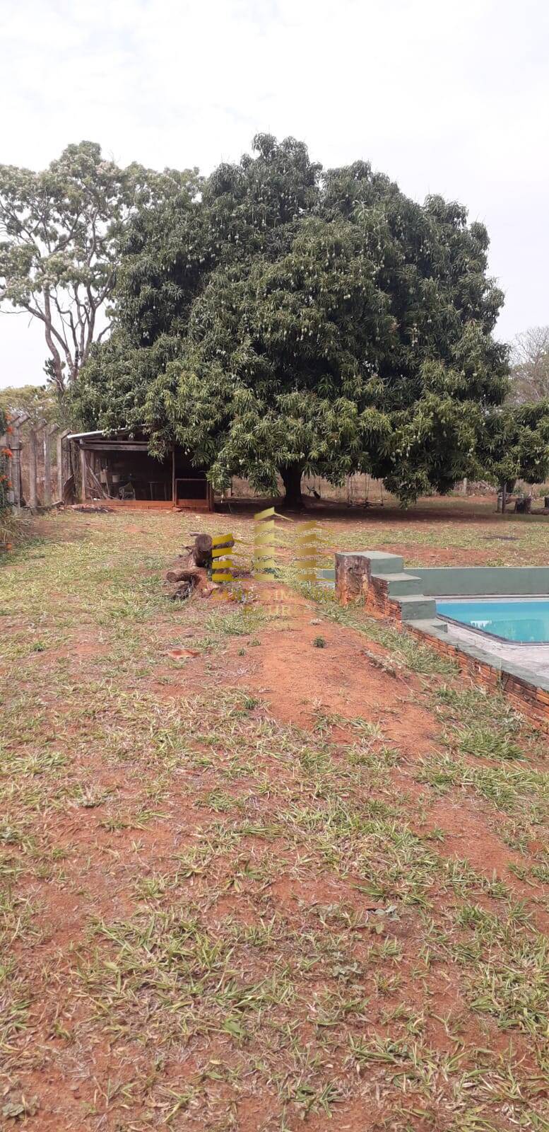 Sítio, 4 quartos, 2 hectares - Foto 25