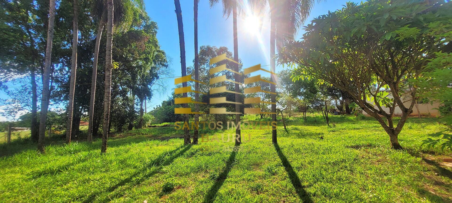 Sítio, 4 quartos, 2 hectares - Foto 6