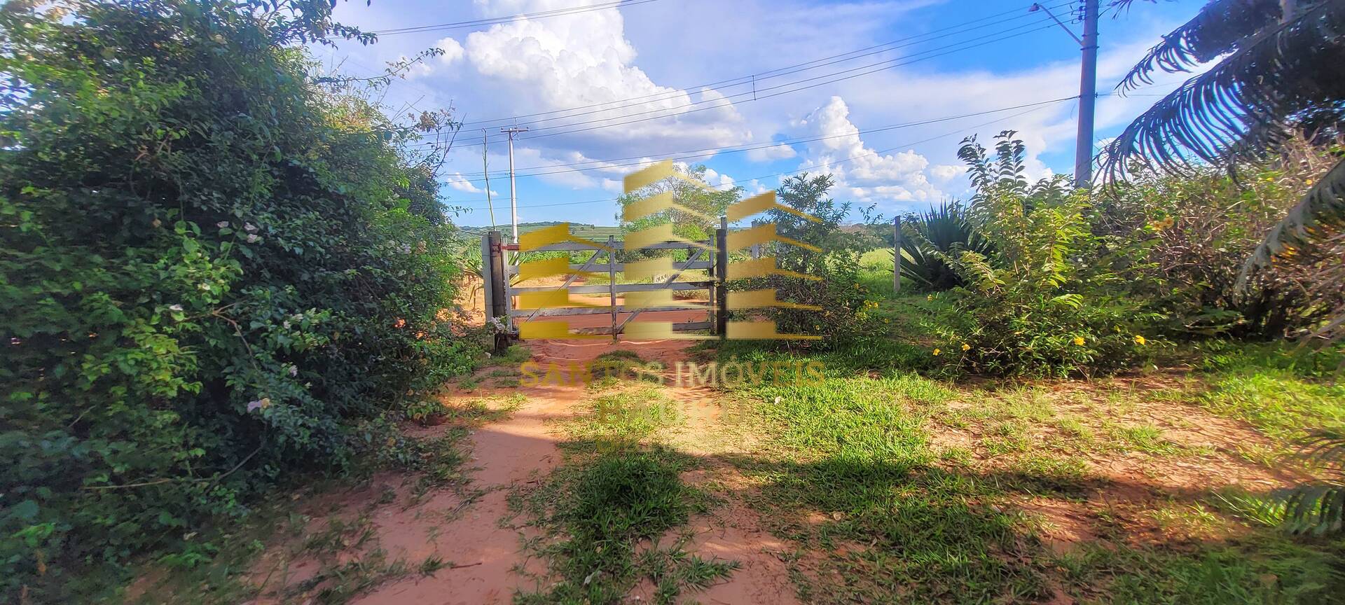 Sítio, 4 quartos, 2 hectares - Foto 15