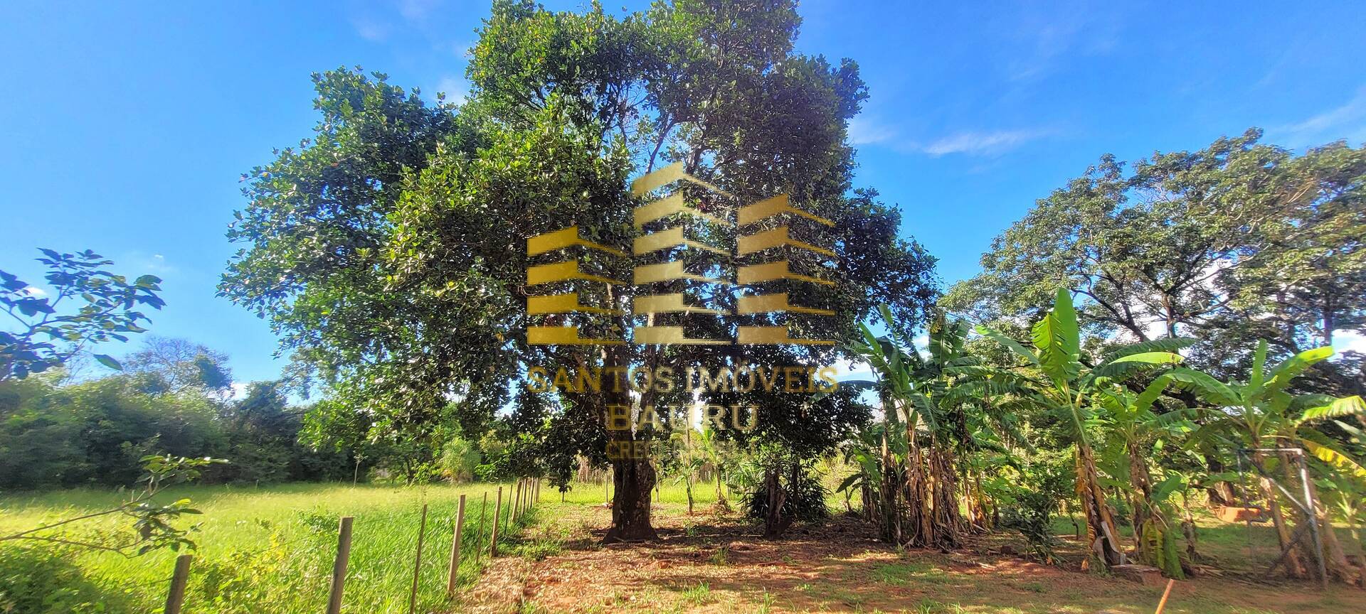 Sítio, 4 quartos, 2 hectares - Foto 9