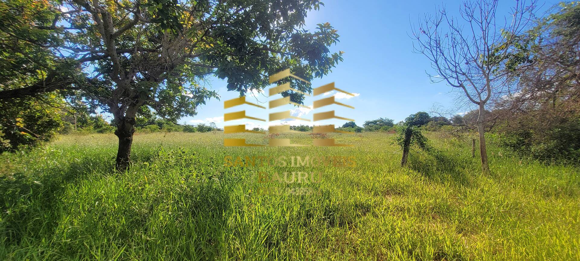 Sítio, 4 quartos, 2 hectares - Foto 14