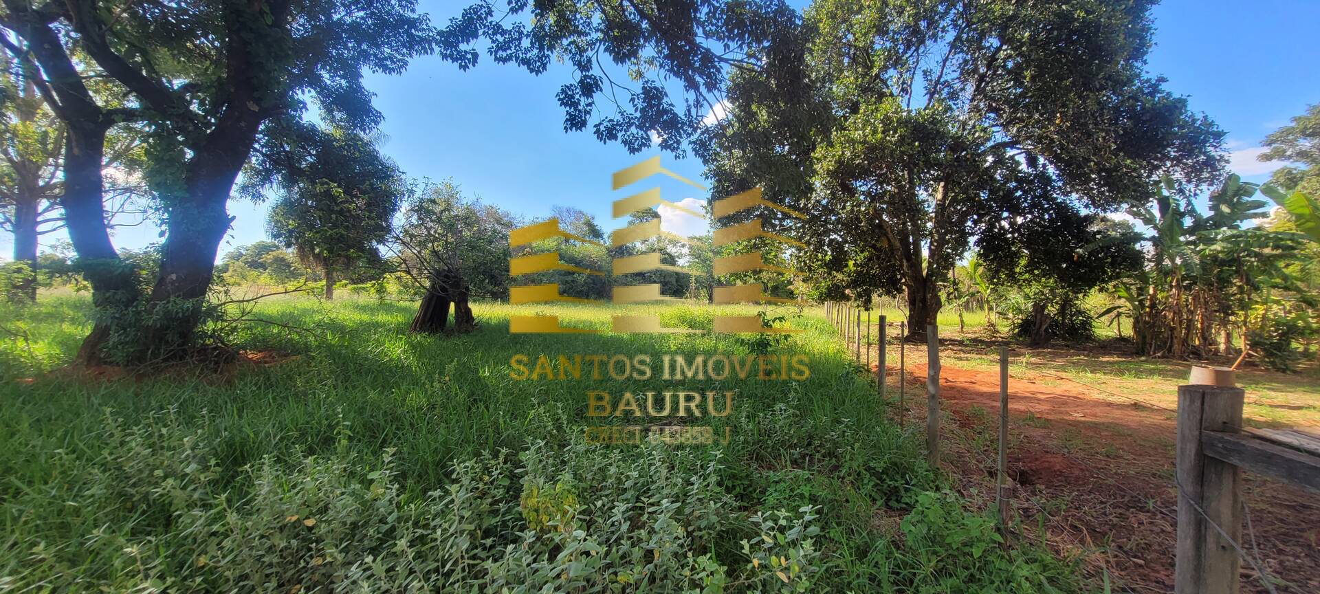 Sítio, 4 quartos, 2 hectares - Foto 12